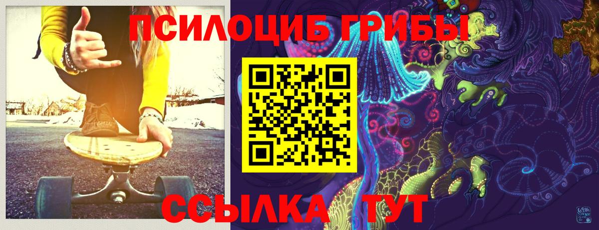 Кингисепп  Псилоцибиновые грибы мухоморы  Вход с VPN  Галлюциногенные грибы прущие грибы 
